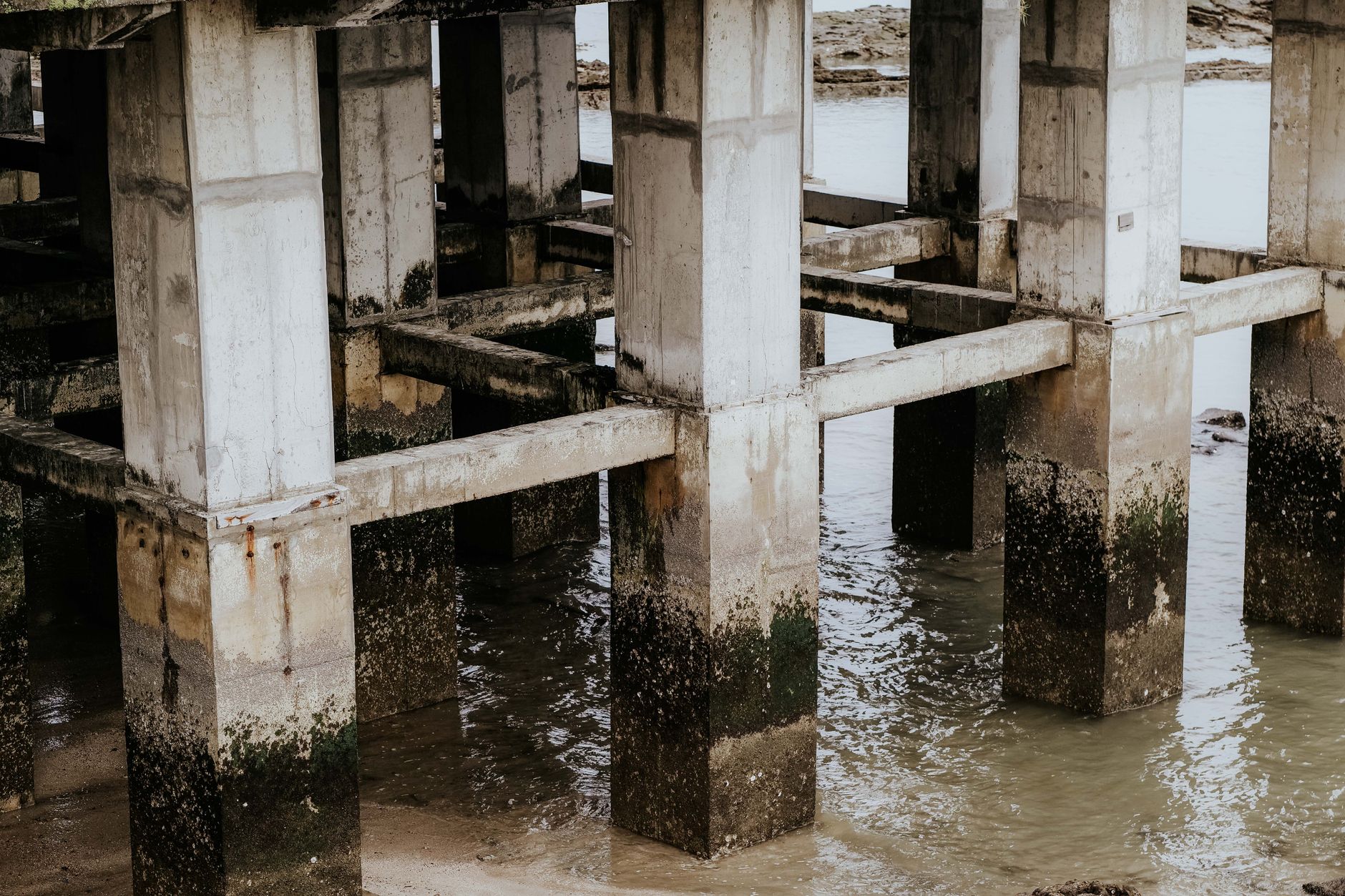 Close-up view of concrete stilts beneath a coastal building, partially submerged in water.