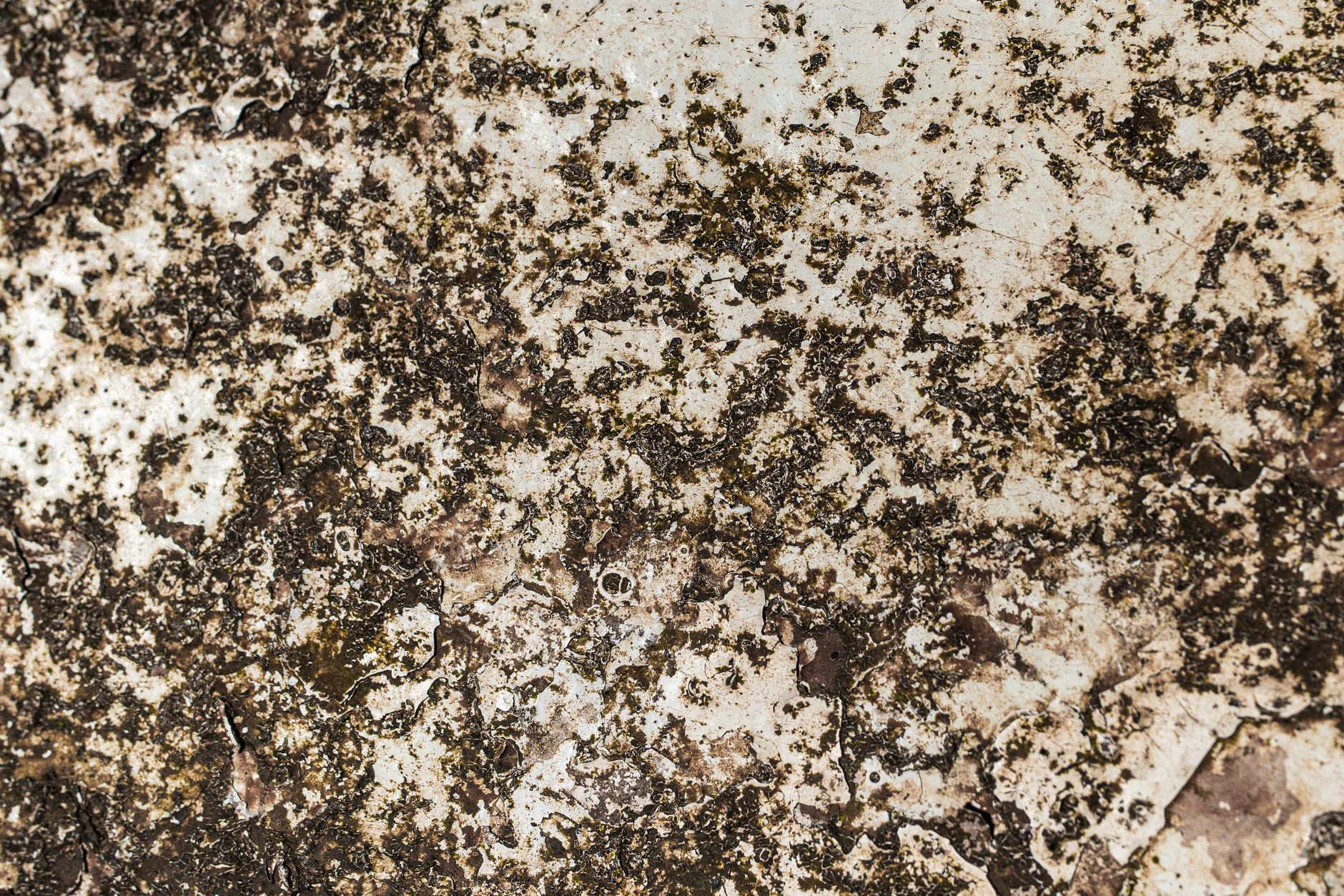 Detailed view of a rusted and stained metal surface showcasing intricate textures and patterns.