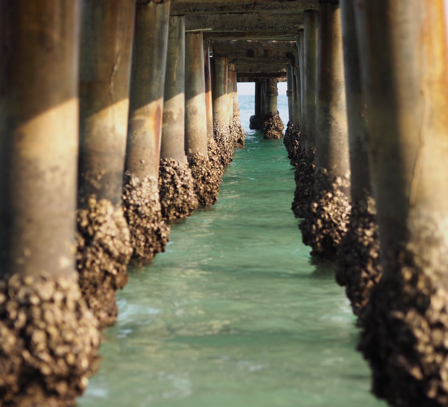 Rustic view beneath a seaside pier with barnacle-covered columns framing turquoise water.