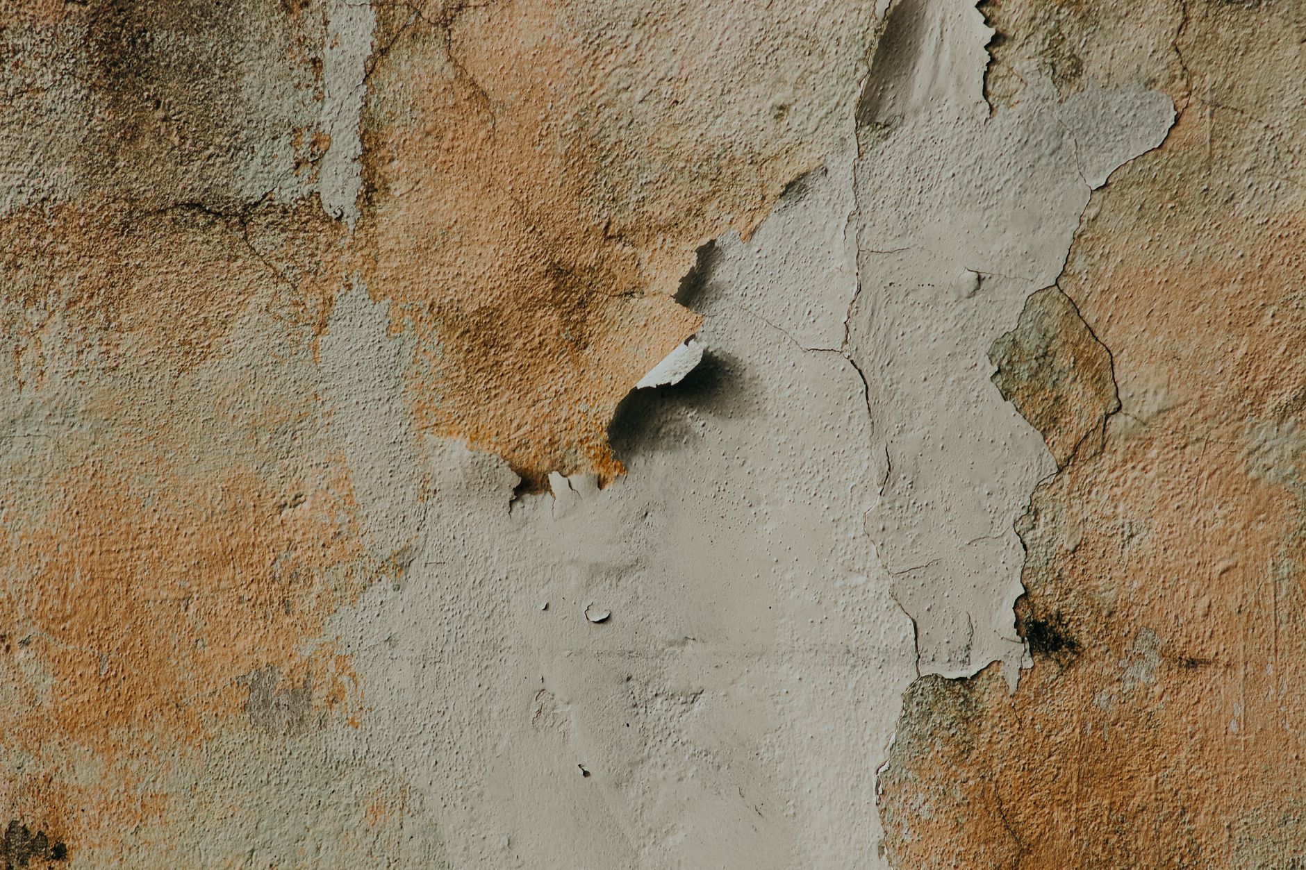 Detailed shot of a peeling, weathered wall texture showcasing rough surfaces and natural colors.
