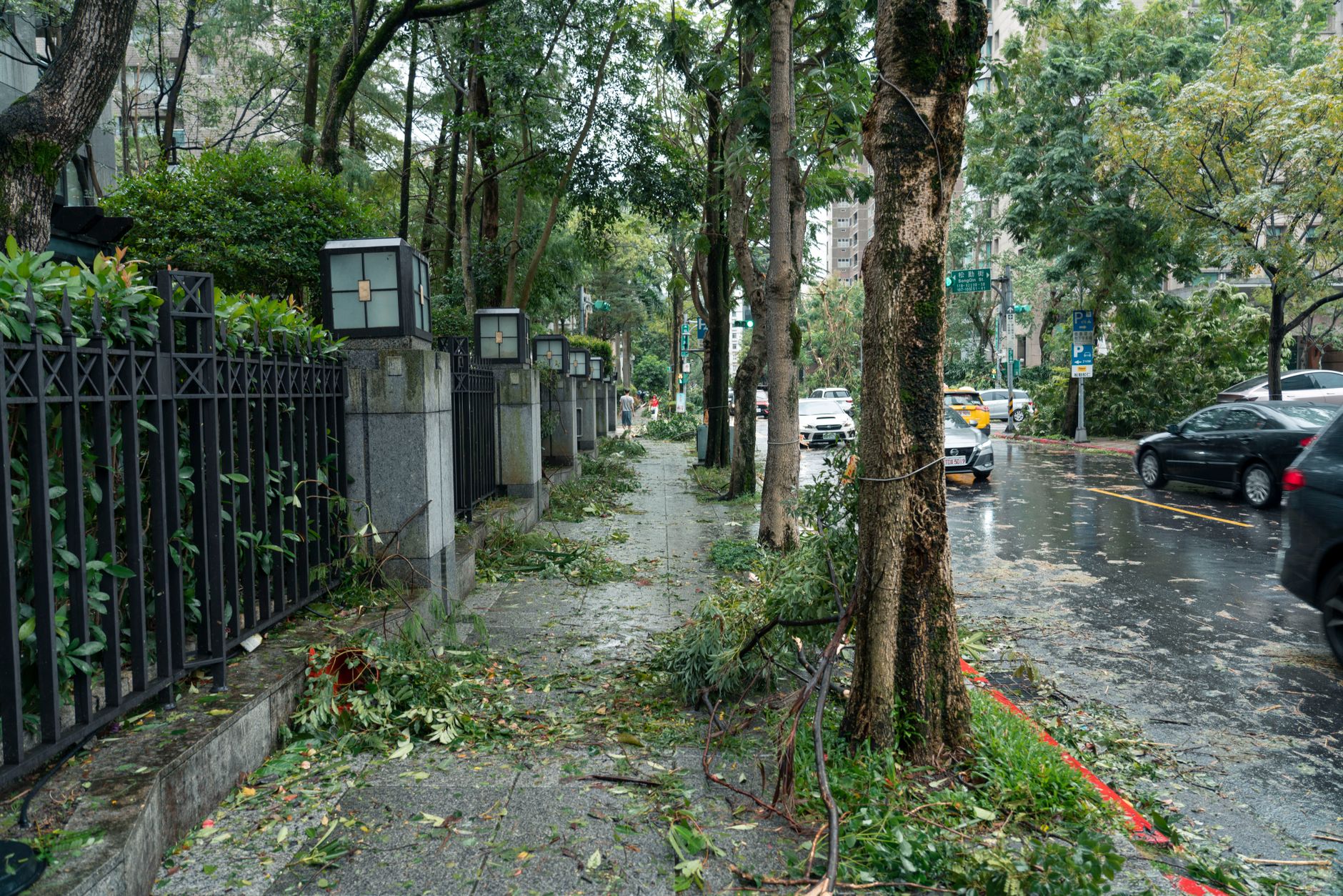 Street in Taipei affected by typhoon showing fallen branches and debris.