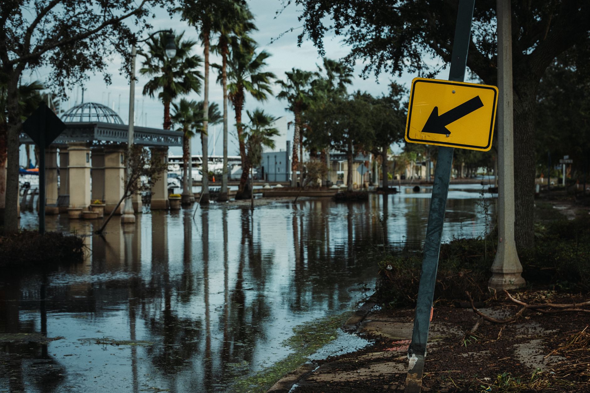 Street view of a flooded road lined with palm trees and a leaning traffic sign, reflecting urban flooding.