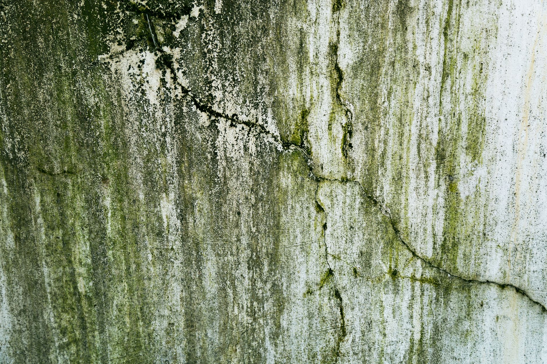 Close-up of a weathered wall with cracks and green algae, texture details.